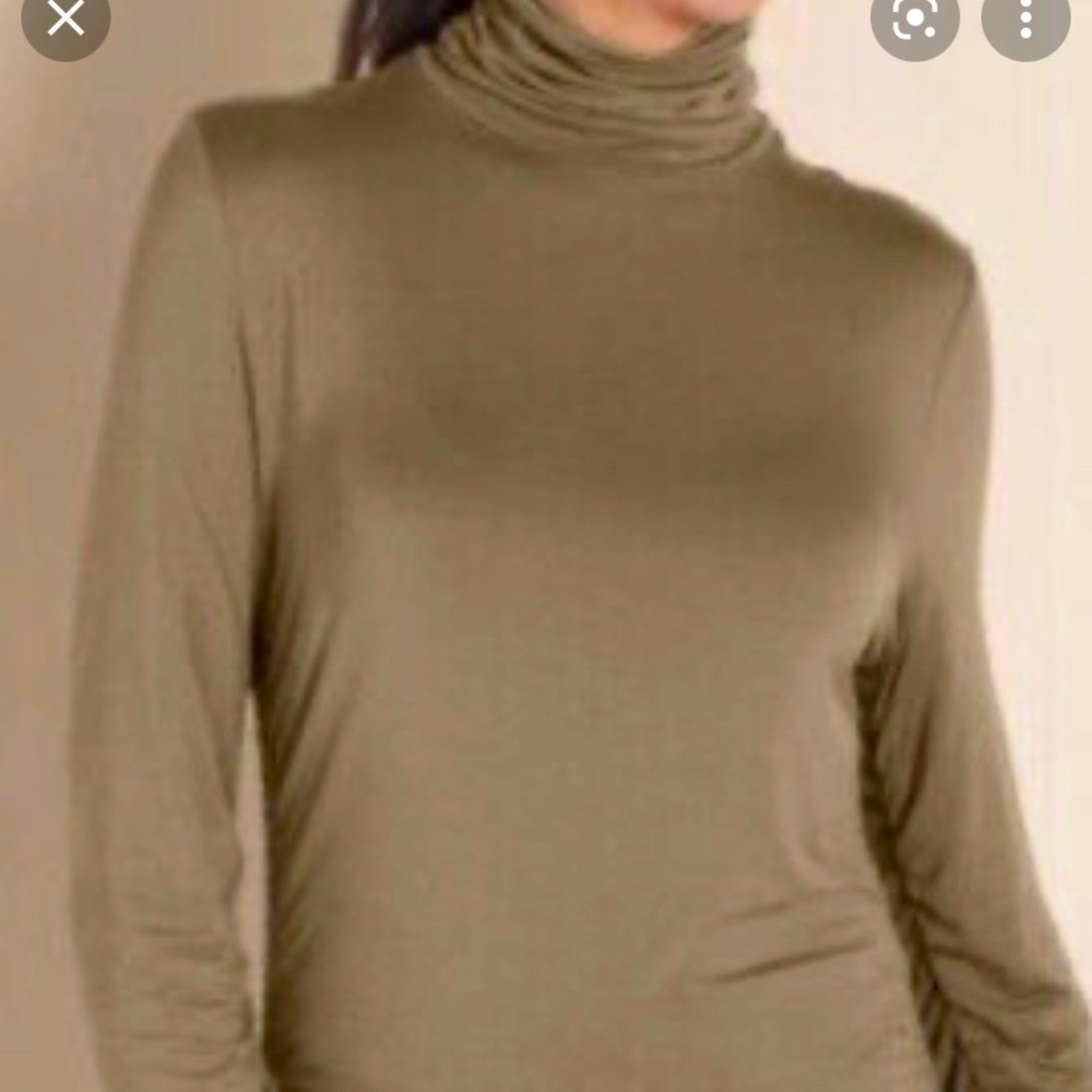 SOFT SURROUNDINGS RUCHED LONG TURTLENECK